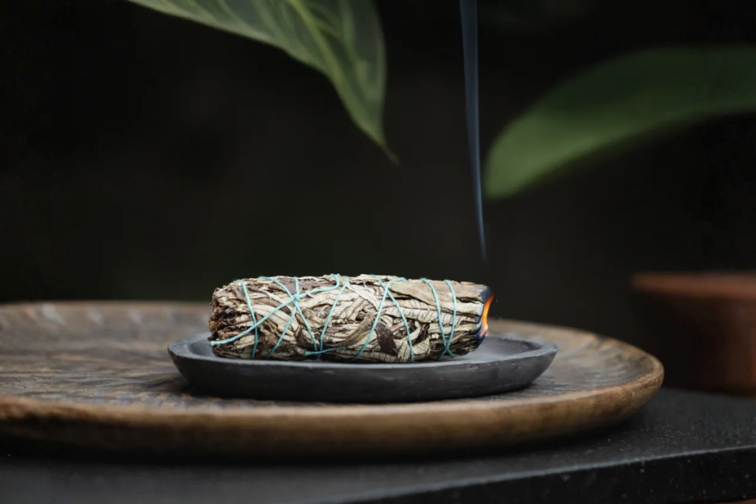 The Sacred Origins of Yerba Santa