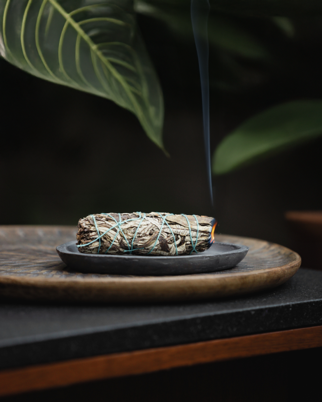 Yerba Santa Sage with Concrete Tray