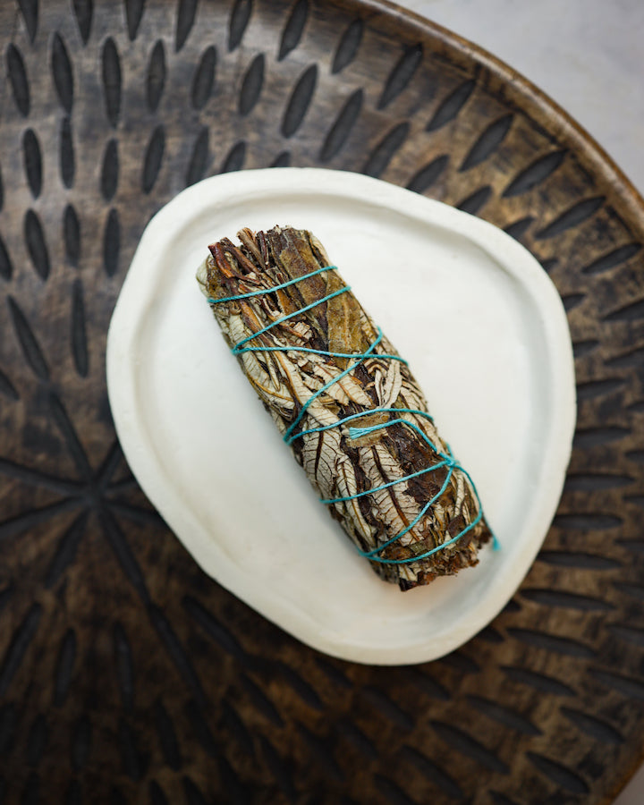 Yerba Santa Sage with Concrete Tray